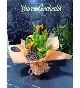 TURUNCU GALA ÇİÇEĞİ